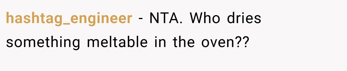 hashtag_engineer − NTA. Who dries something meltable in the oven??