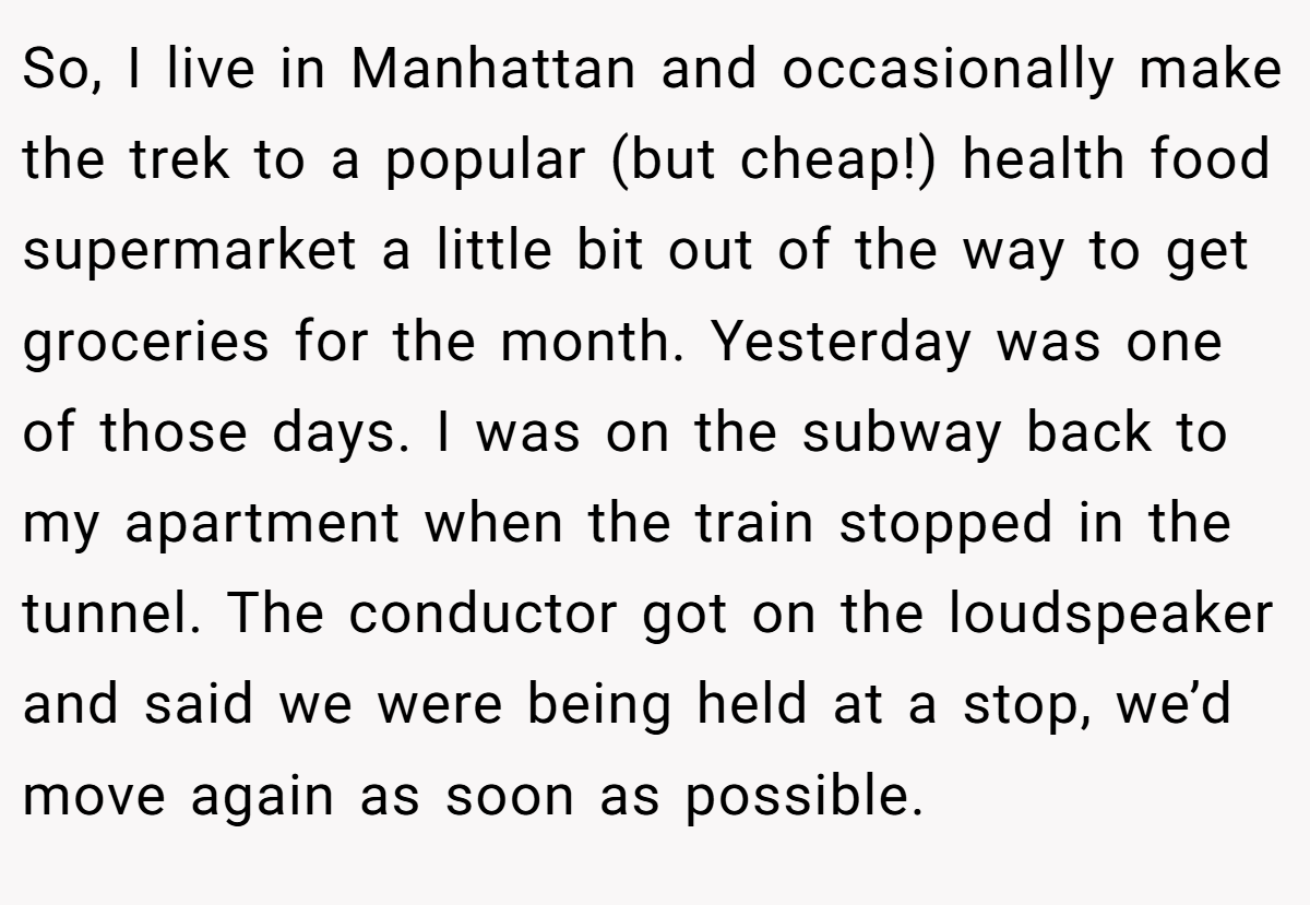 So, I live in Manhattan and occasionally make the trek to a popular (but cheap!) health food supermarket a little bit out of the way to get groceries for the month. Yesterday was one of those days. I was on the subway back to my apartment when the train stopped in the tunnel. The conductor got on the loudspeaker and said we were being held at a stop, we’d move again as soon as possible.