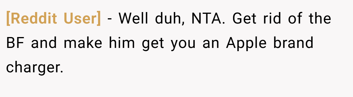[Reddit User] − Well duh, NTA. Get rid of the BF and make him get you an Apple brand charger.