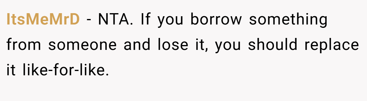 ItsMeMrD − NTA. If you borrow something from someone and lose it, you should replace it like-for-like.