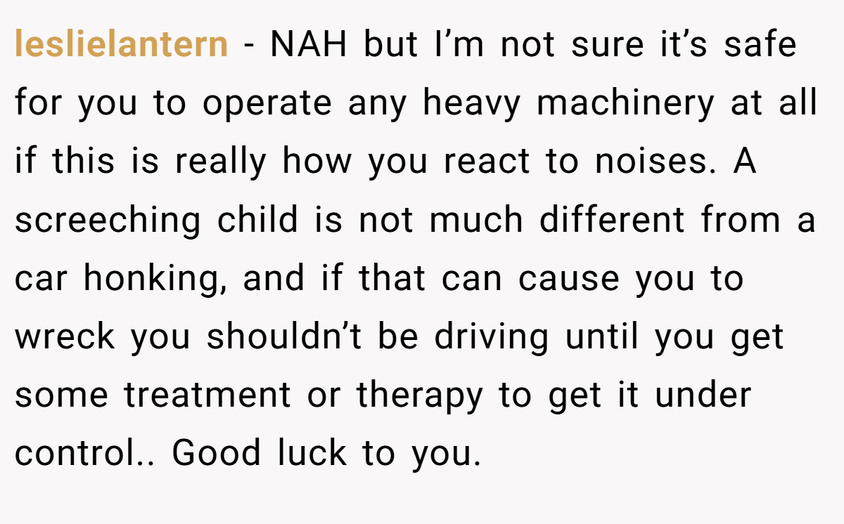 leslielantern − NAH but I’m not sure it’s safe for you to operate any heavy machinery at all if this is really how you react to noises. A screeching child is not much different from a car honking, and if that can cause you to wreck you shouldn’t be driving until you get some treatment or therapy to get it under control.. Good luck to you.
