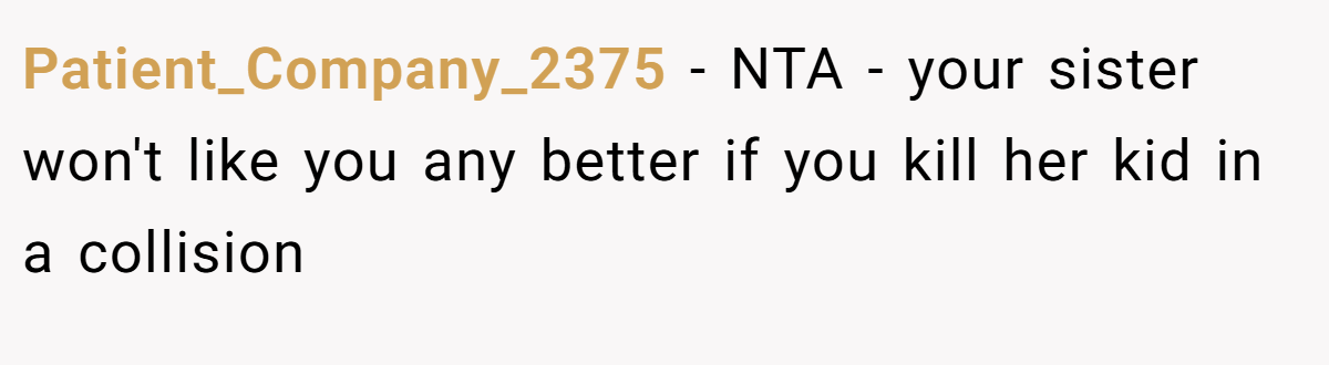 Patient_Company_2375 − NTA - your sister won't like you any better if you kill her kid in a collision
