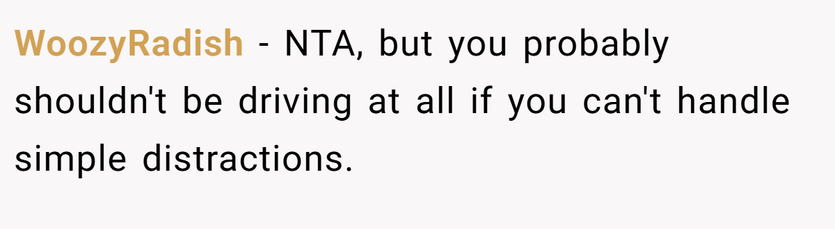 WoozyRadish − NTA, but you probably shouldn't be driving at all if you can't handle simple distractions.