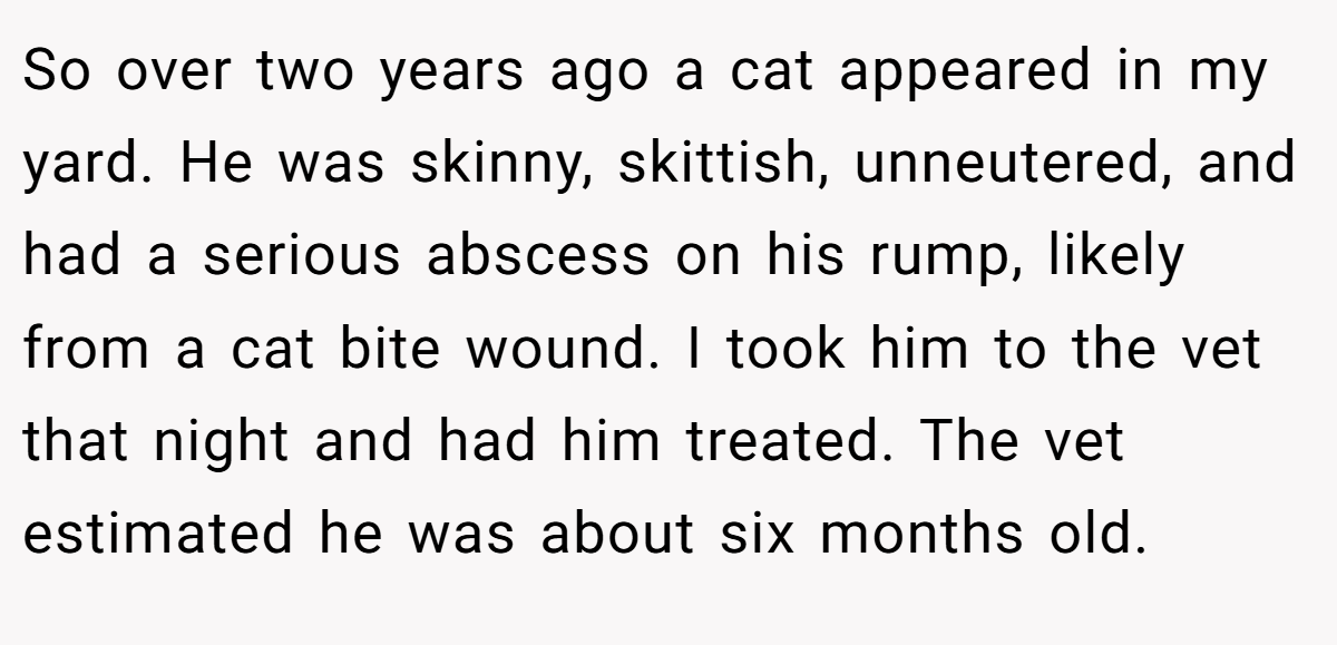 So over two years ago a cat appeared in my yard. He was skinny, skittish, unneutered, and had a serious abscess on his rump, likely from a cat bite wound. I took him to the vet that night and had him treated. The vet estimated he was about six months old.