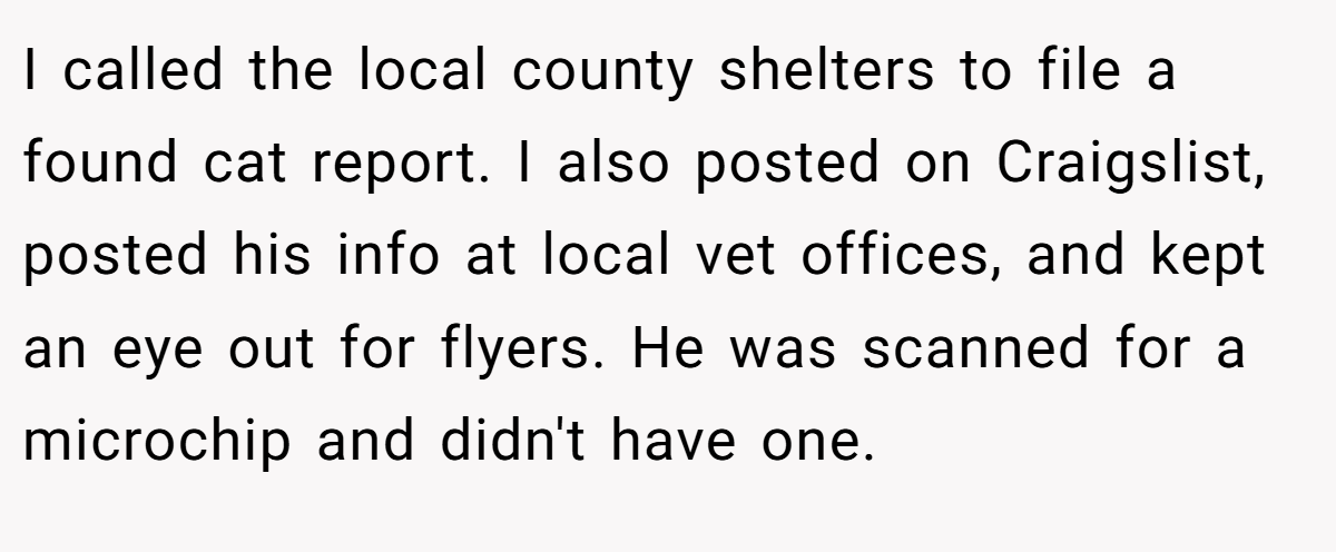 I called the local county shelters to file a found cat report. I also posted on Craigslist, posted his info at local vet offices, and kept an eye out for flyers. He was scanned for a microchip and didn't have one.