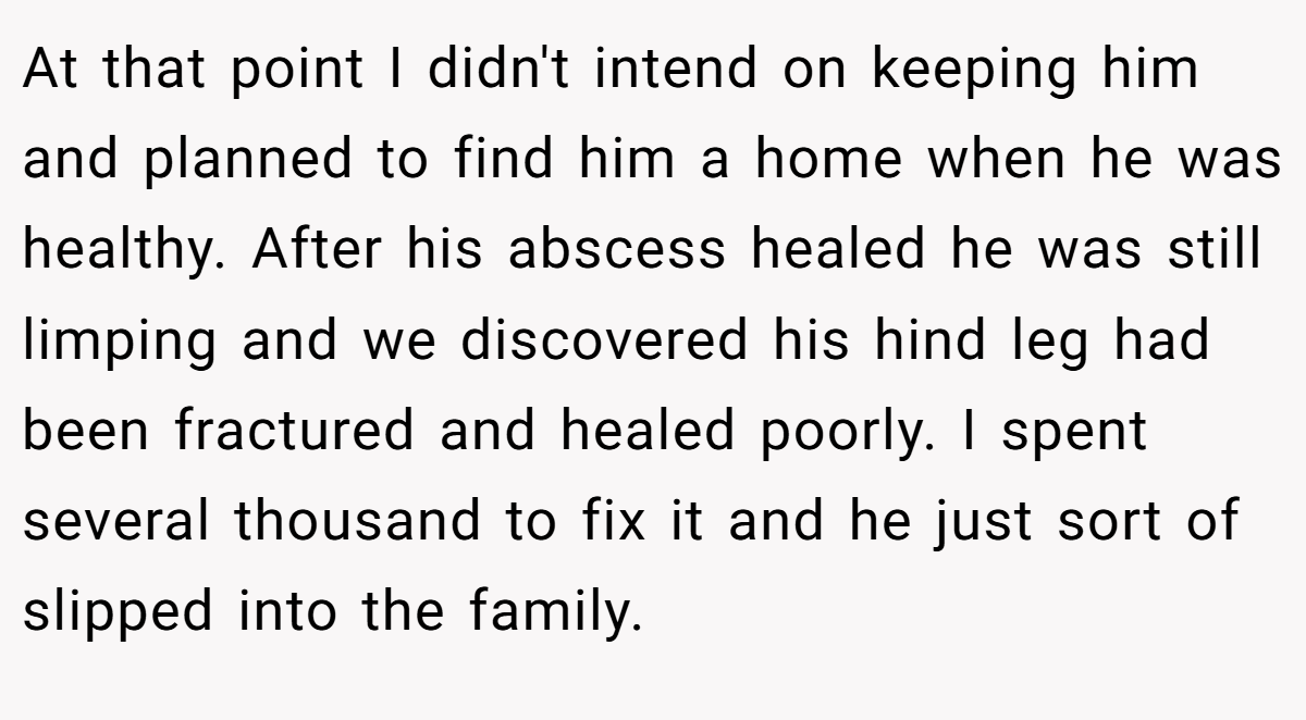 At that point I didn't intend on keeping him and planned to find him a home when he was healthy. After his abscess healed he was still limping and we discovered his hind leg had been fractured and healed poorly. I spent several thousand to fix it and he just sort of slipped into the family.