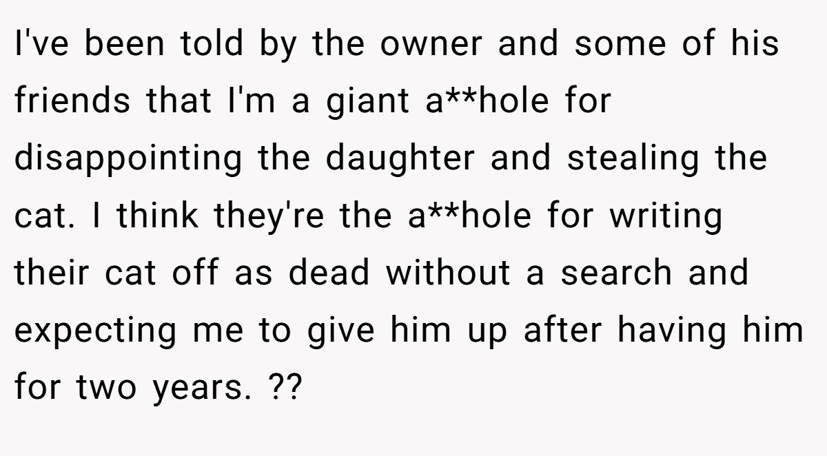 I've been told by the owner and some of his friends that I'm a giant a**hole for disappointing the daughter and stealing the cat. I think they're the a**hole for writing their cat off as dead without a search and expecting me to give him up after having him for two years. ??