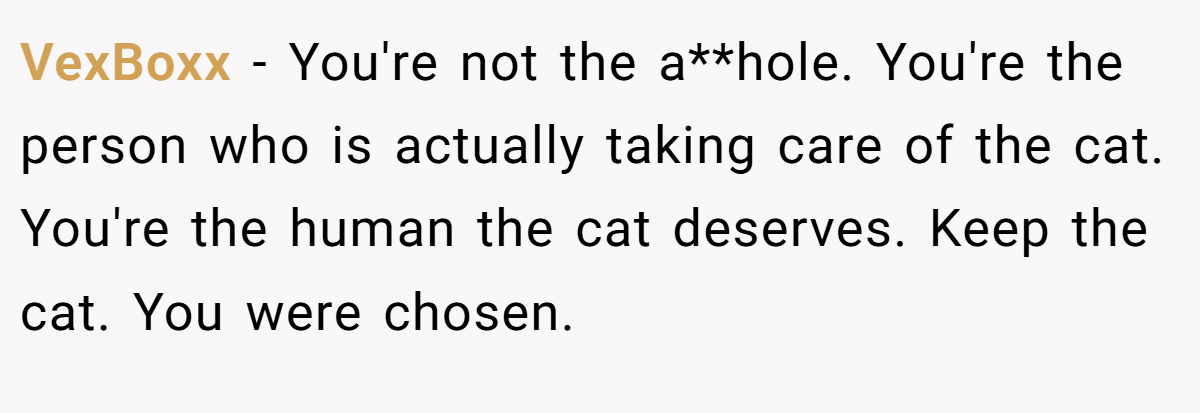 VexBoxx - You're not the a**hole. You're the person who is actually taking care of the cat. You're the human the cat deserves. Keep the cat. You were chosen.
