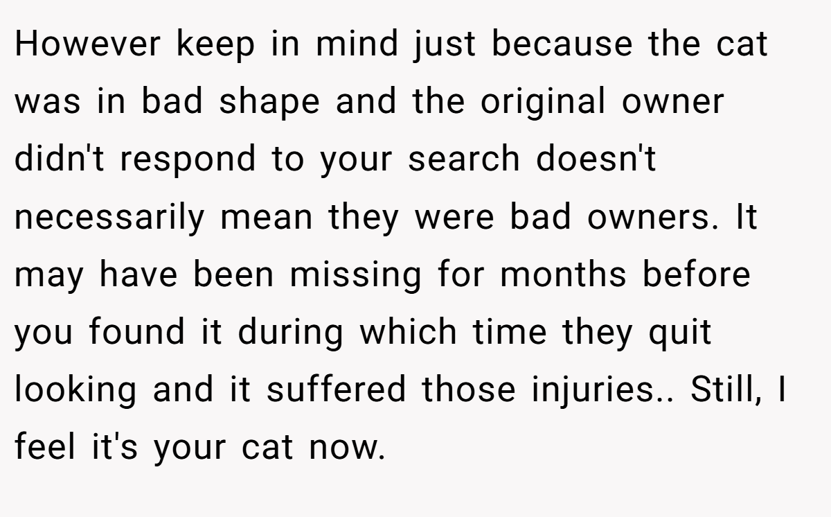 However keep in mind just because the cat was in bad shape and the original owner didn't respond to your search doesn't necessarily mean they were bad owners. It may have been missing for months before you found it during which time they quit looking and it suffered those injuries.. Still, I feel it's your cat now.