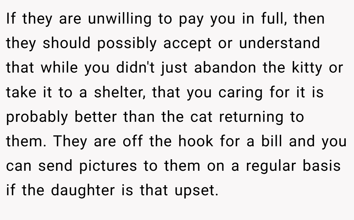 If they are unwilling to pay you in full, then they should possibly accept or understand that while you didn't just abandon the kitty or take it to a shelter, that you caring for it is probably better than the cat returning to them. They are off the hook for a bill and you can send pictures to them on a regular basis if the daughter is that upset.