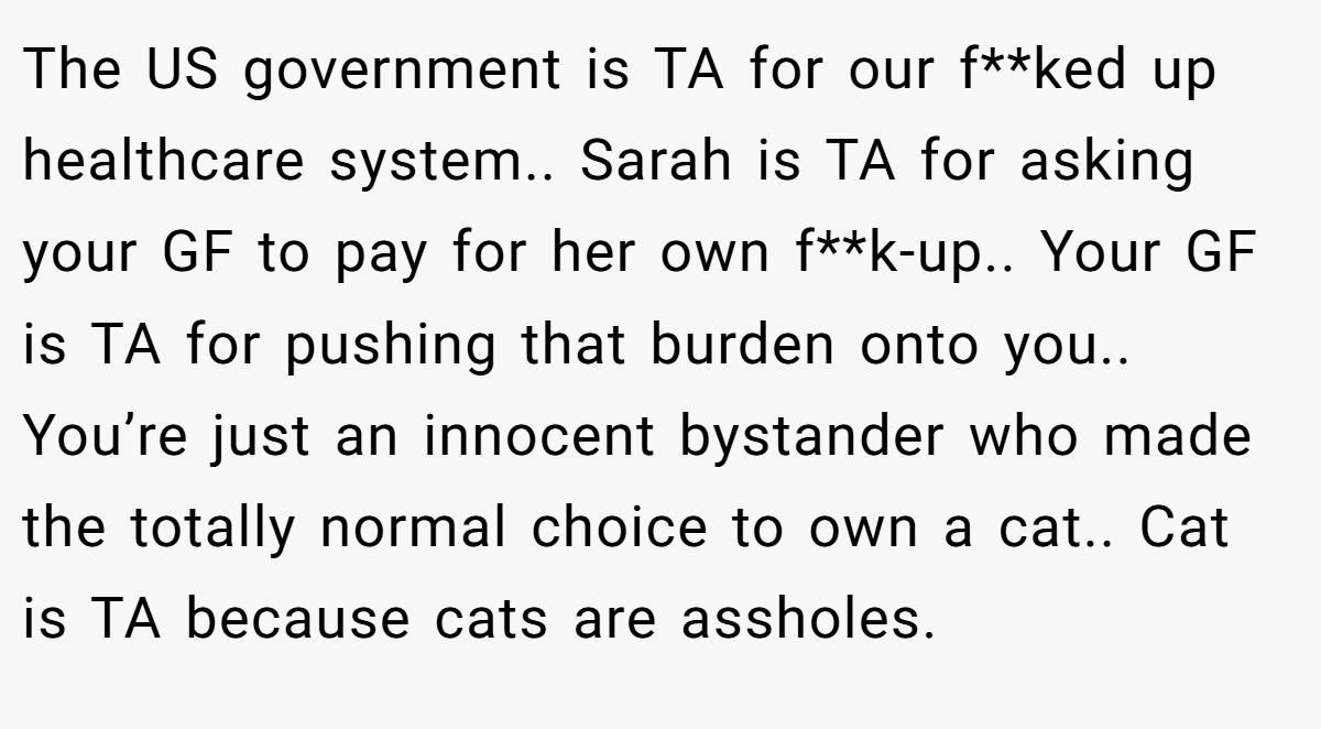 The US government is TA for our f**ked up healthcare system.. Sarah is TA for asking your GF to pay for her own f**k-up.. Your GF is TA for pushing that burden onto you.. You’re just an innocent bystander who made the totally normal choice to own a cat.. Cat is TA because cats are assholes.