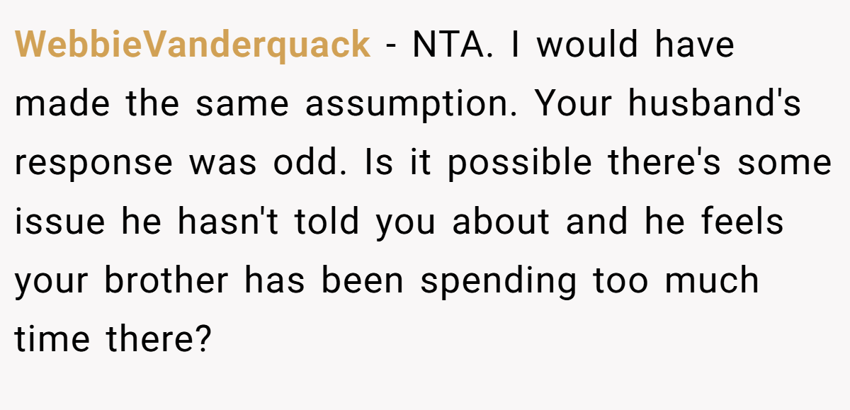 WebbieVanderquack − NTA. I would have made the same assumption. Your husband's response was odd. Is it possible there's some issue he hasn't told you about and he feels your brother has been spending too much time there?
