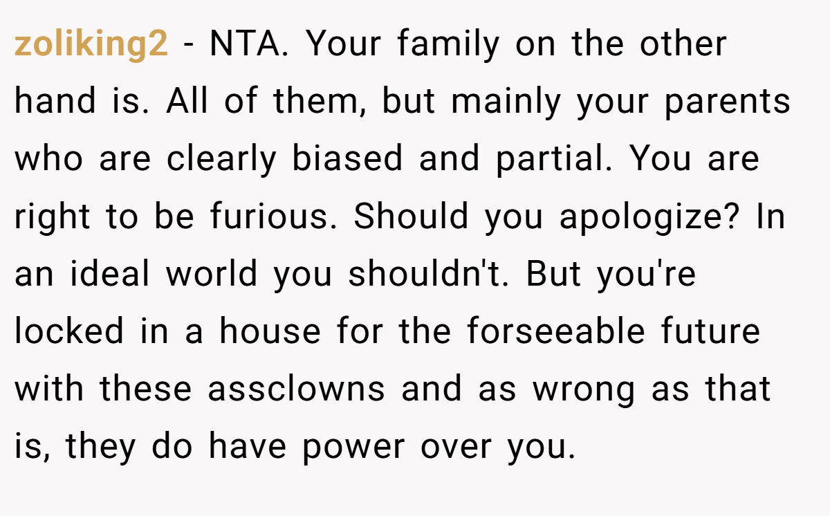 zoliking2 − NTA. Your family on the other hand is. All of them, but mainly your parents who are clearly biased and partial. You are right to be furious. Should you apologize? In an ideal world you shouldn't. But you're locked in a house for the forseeable future with these assclowns and as wrong as that is, they do have power over you.