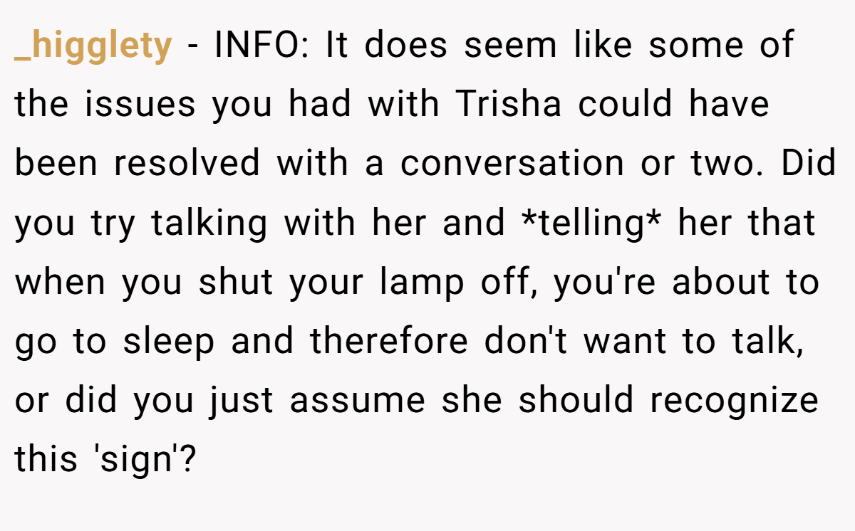 _higglety - INFO: It does seem like some of the issues you had with Trisha could have been resolved with a conversation or two. Did you try talking with her and *telling* her that when you shut your lamp off, you're about to go to sleep and therefore don't want to talk, or did you just assume she should recognize this 'sign'?