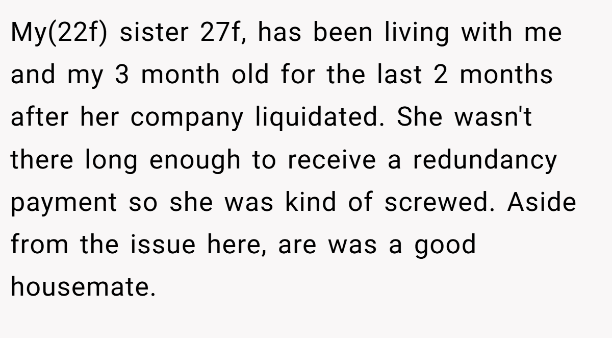 My(22f) sister 27f, has been living with me and my 3 month old for the last 2 months after her company liquidated. She wasn't there long enough to receive a redundancy payment so she was kind of screwed. Aside from the issue here, are was a good housemate.
