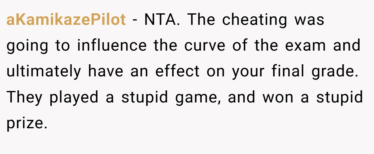 aKamikazePilot − NTA. The cheating was going to influence the curve of the exam and ultimately have an effect on your final grade. They played a stupid game, and won a stupid prize.