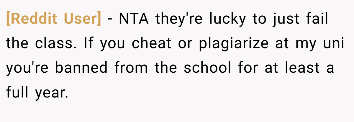 [Reddit User] − NTA they're lucky to just fail the class. If you cheat or plagiarize at my uni you're banned from the school for at least a full year.
