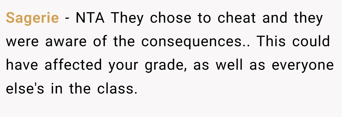 Sagerie − NTA They chose to cheat and they were aware of the consequences.. This could have affected your grade, as well as everyone else's in the class.