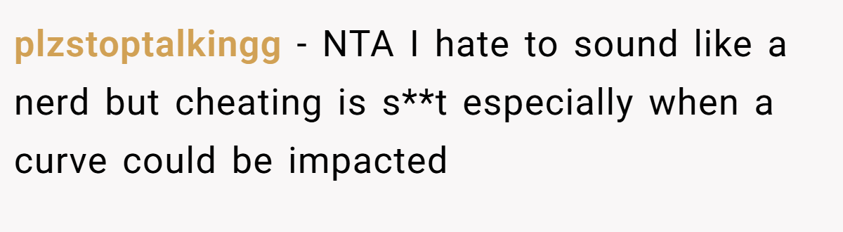 plzstoptalkingg − NTA I hate to sound like a nerd but cheating is s**t especially when a curve could be impacted