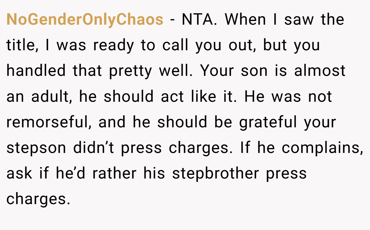 NoGenderOnlyChaos − NTA. When I saw the title, I was ready to call you out, but you handled that pretty well. Your son is almost an adult, he should act like it. He was not remorseful, and he should be grateful your stepson didn’t press charges. If he complains, ask if he’d rather his stepbrother press charges.