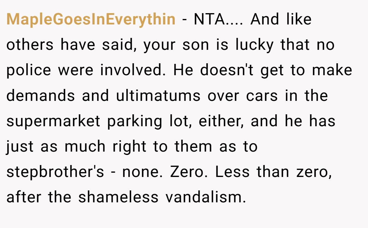 MapleGoesInEverythin − NTA.... And like others have said, your son is lucky that no police were involved. He doesn't get to make demands and ultimatums over cars in the supermarket parking lot, either, and he has just as much right to them as to stepbrother's - none. Zero. Less than zero, after the shameless vandalism.