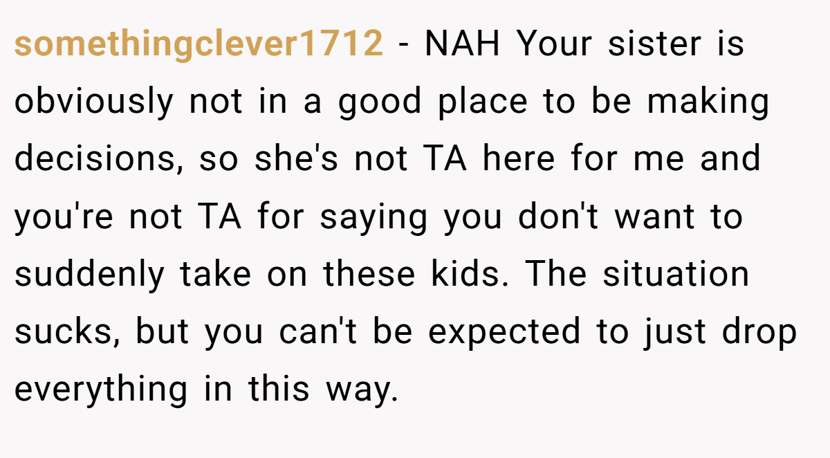 somethingclever1712 − NAH Your sister is obviously not in a good place to be making decisions, so she's not TA here for me and you're not TA for saying you don't want to suddenly take on these kids. The situation sucks, but you can't be expected to just drop everything in this way.