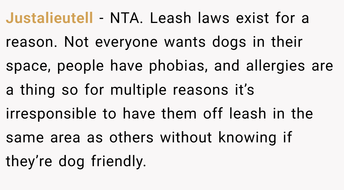 Justalieutell - NTA. Leash laws exist for a reason. Not everyone wants dogs in their space, people have phobias, and allergies are a thing so for multiple reasons it’s irresponsible to have them off leash in the same area as others without knowing if they’re dog friendly.
