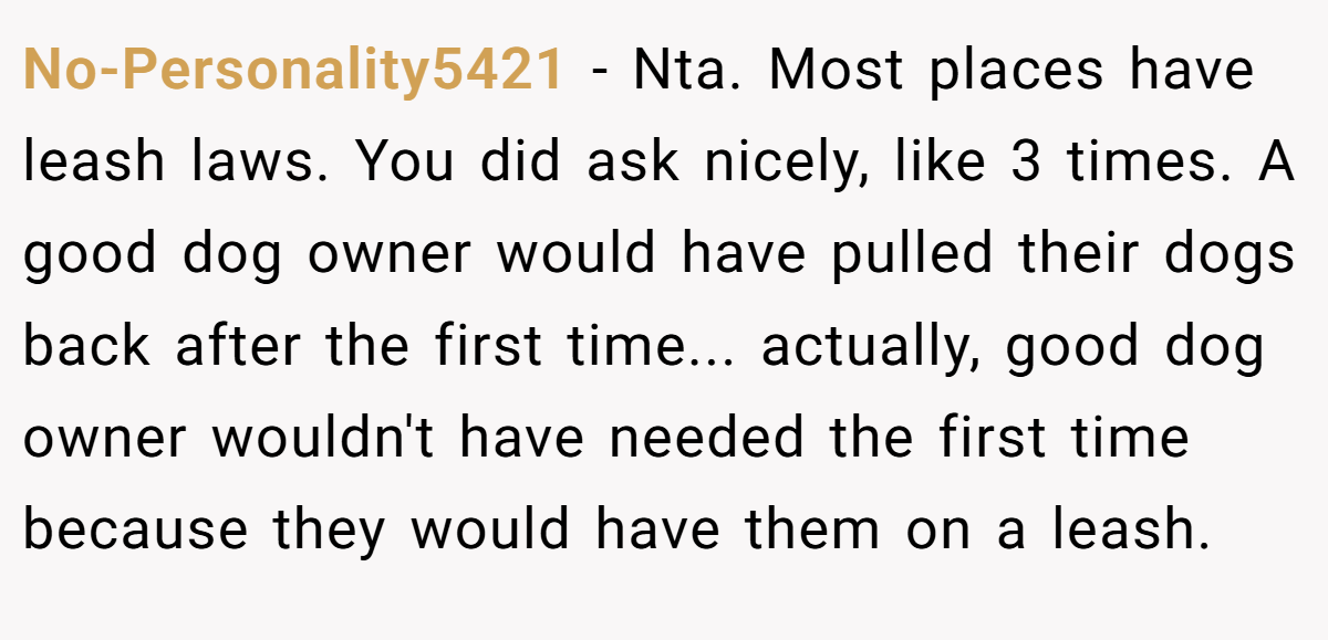 No-Personality5421 - Nta. Most places have leash laws. You did ask nicely, like 3 times. A good dog owner would have pulled their dogs back after the first time... actually, good dog owner wouldn't have needed the first time because they would have them on a leash.