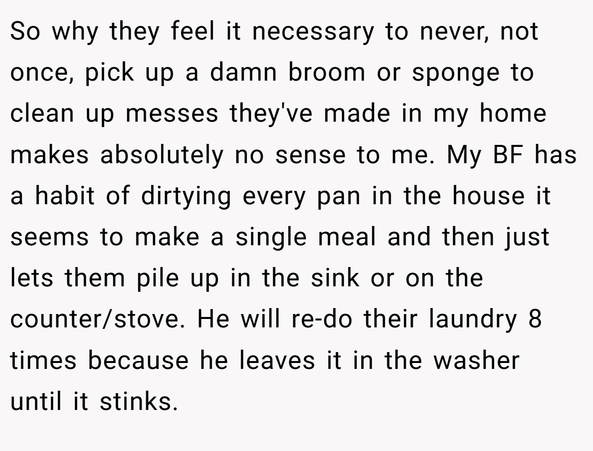 So why they feel it necessary to never, not once, pick up a damn broom or sponge to clean up messes they've made in my home makes absolutely no sense to me. My BF has a habit of dirtying every pan in the house it seems to make a single meal and then just lets them pile up in the sink or on the counter/stove. He will re-do their laundry 8 times because he leaves it in the washer until it stinks.