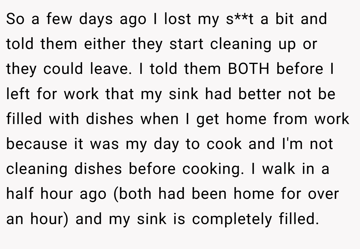 So a few days ago I lost my s**t a bit and told them either they start cleaning up or they could leave. I told them BOTH before I left for work that my sink had better not be filled with dishes when I get home from work because it was my day to cook and I'm not cleaning dishes before cooking. I walk in a half hour ago (both had been home for over an hour) and my sink is completely filled.
