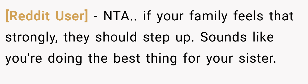 [Reddit User] − NTA.. if your family feels that strongly, they should step up. Sounds like you're doing the best thing for your sister.
