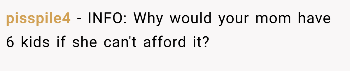 pisspile4 - INFO: Why would your mom have 6 kids if she can't afford it?