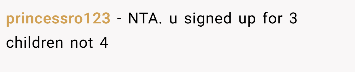 princessro123 − NTA. u signed up for 3 children not 4