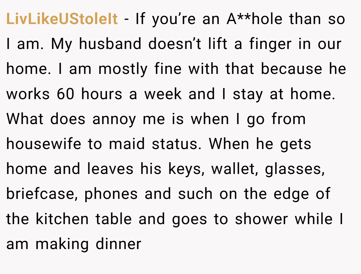 LivLikeUStoleIt − If you’re an A**hole than so I am. My husband doesn’t lift a finger in our home. I am mostly fine with that because he works 60 hours a week and I stay at home. What does annoy me is when I go from housewife to maid status. When he gets home and leaves his keys, wallet, glasses, briefcase, phones and such on the edge of the kitchen table and goes to shower while I am making dinner