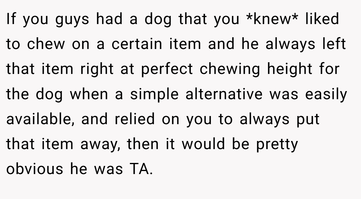 If you guys had a dog that you *knew* liked to chew on a certain item and he always left that item right at perfect chewing height for the dog when a simple alternative was easily available, and relied on you to always put that item away, then it would be pretty obvious he was TA.