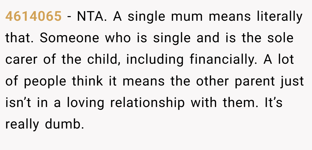 4614065 - NTA. A single mum means literally that. Someone who is single and is the sole carer of the child, including financially. A lot of people think it means the other parent just isn’t in a loving relationship with them. It’s really dumb.