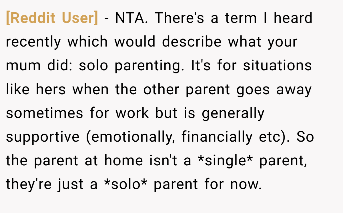 [Reddit User] - NTA. There's a term I heard recently which would describe what your mum did: solo parenting. It's for situations like hers when the other parent goes away sometimes for work but is generally supportive (emotionally, financially etc). So the parent at home isn't a *single* parent, they're just a *solo* parent for now.