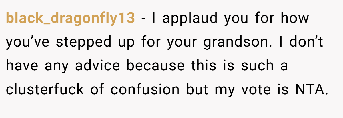 black_dragonfly13 − I applaud you for how you’ve stepped up for your grandson. I don’t have any advice because this is such a clusterfuck of confusion but my vote is NTA.