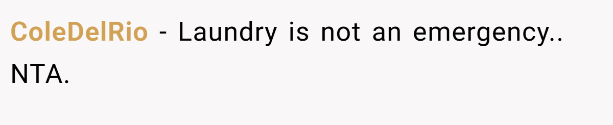 ColeDelRio − Laundry is not an emergency.. NTA.