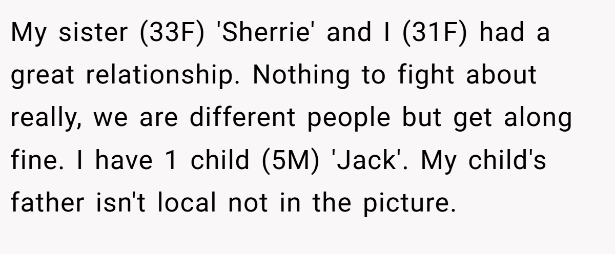 My sister (33F) 'Sherrie' and I (31F) had a great relationship. Nothing to fight about really, we are different people but get along fine. I have 1 child (5M) 'Jack'. My child's father isn't local not in the picture.