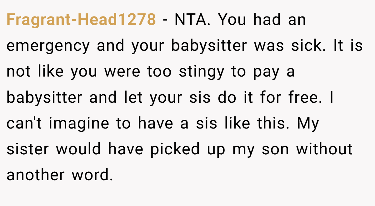 Fragrant-Head1278 − NTA. You had an emergency and your babysitter was sick. It is not like you were too stingy to pay a babysitter and let your sis do it for free. I can't imagine to have a sis like this. My sister would have picked up my son without another word.