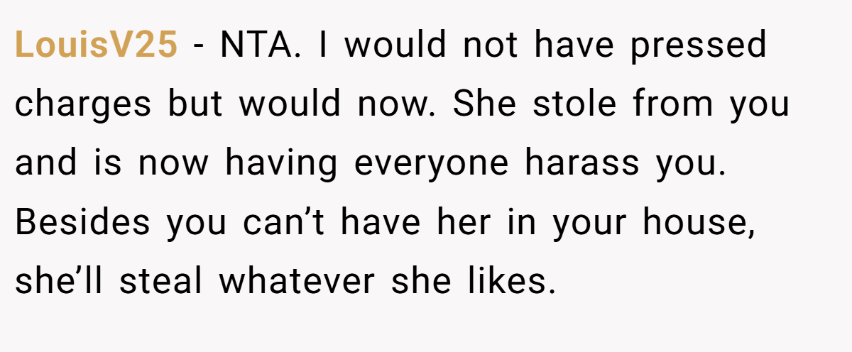 LouisV25 − NTA. I would not have pressed charges but would now. She stole from you and is now having everyone harass you. Besides you can’t have her in your house, she’ll steal whatever she likes.