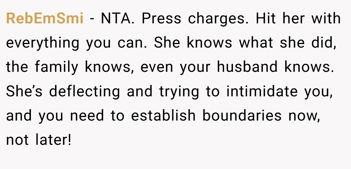 RebEmSmi − NTA. Press charges. Hit her with everything you can. She knows what she did, the family knows, even your husband knows. She’s deflecting and trying to intimidate you, and you need to establish boundaries now, not later!