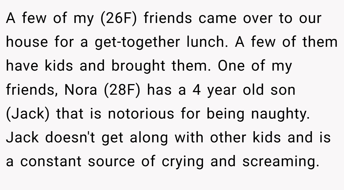 A few of my (26F) friends came over to our house for a get-together lunch. A few of them have kids and brought them. One of my friends, Nora (28F) has a 4 year old son (Jack) that is notorious for being naughty. Jack doesn't get along with other kids and is a constant source of crying and screaming.