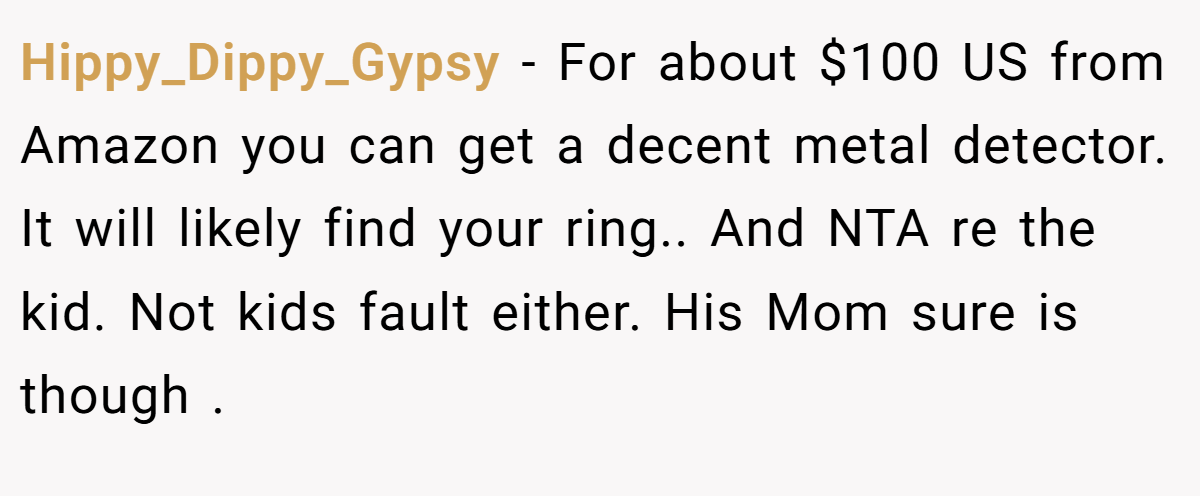Hippy_Dippy_Gypsy - For about $100 US from Amazon you can get a decent metal detector. It will likely find your ring.. And NTA re the kid. Not kids fault either. His Mom sure is though .