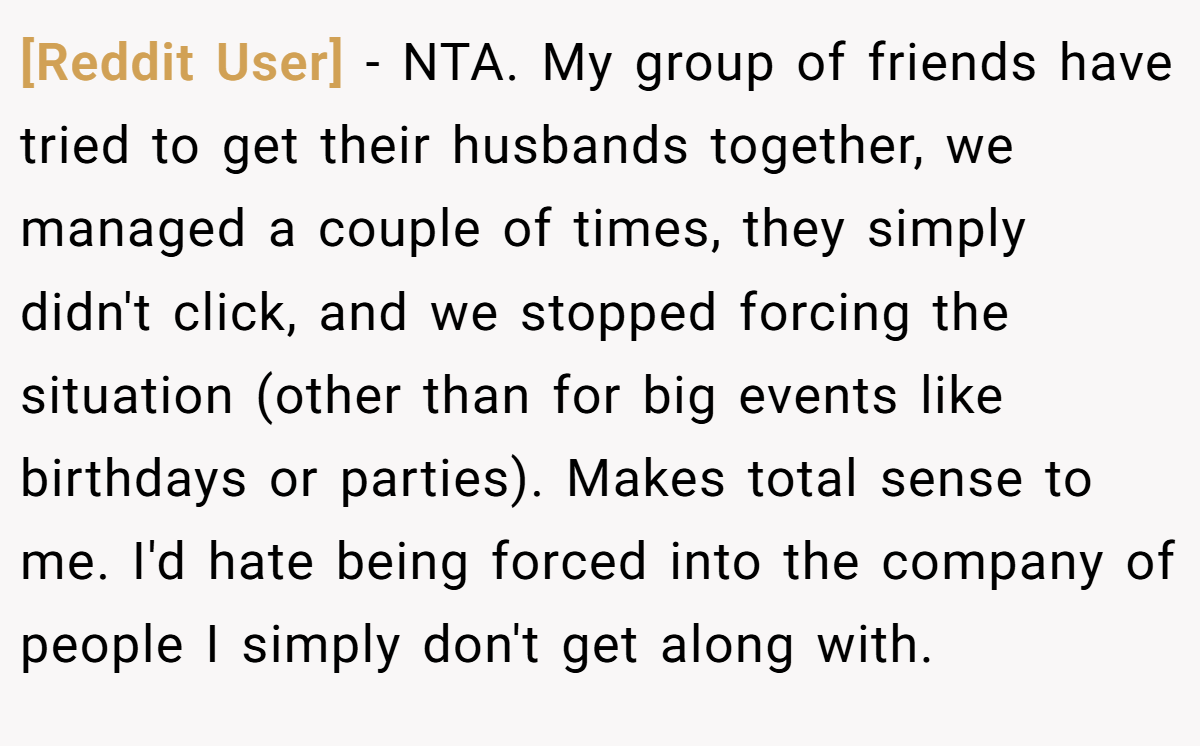 [Reddit User] − NTA. My group of friends have tried to get their husbands together, we managed a couple of times, they simply didn't click, and we stopped forcing the situation (other than for big events like birthdays or parties). Makes total sense to me. I'd hate being forced into the company of people I simply don't get along with.
