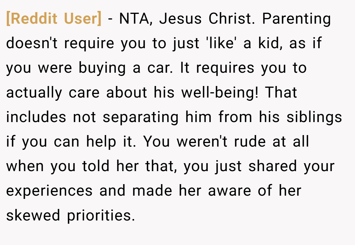 [Reddit User] - NTA, Jesus Christ. Parenting doesn't require you to just 'like' a kid, as if you were buying a car. It requires you to actually care about his well-being! That includes not separating him from his siblings if you can help it. You weren't rude at all when you told her that, you just shared your experiences and made her aware of her skewed priorities.