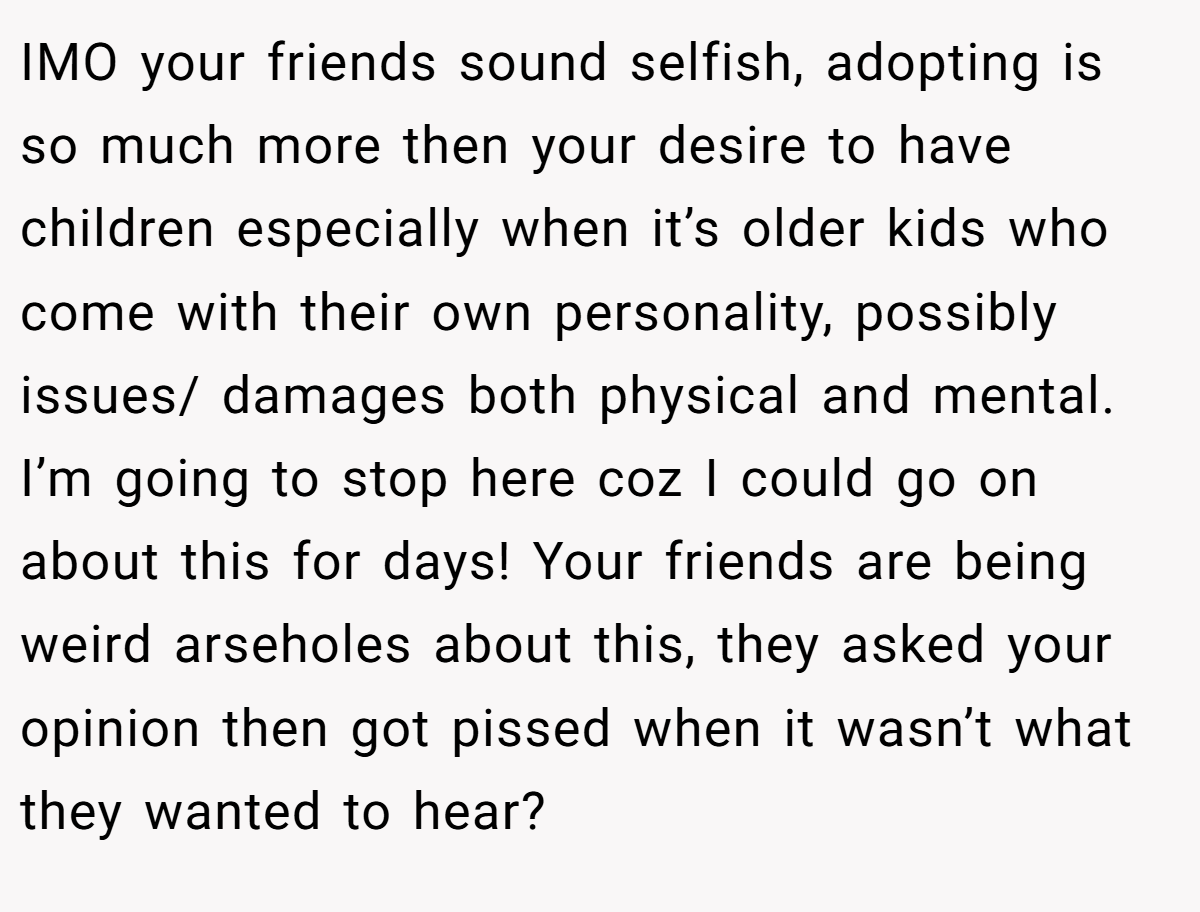 IMO your friends sound selfish, adopting is so much more then your desire to have children especially when it’s older kids who come with their own personality, possibly issues/ damages both physical and mental. I’m going to stop here coz I could go on about this for days! Your friends are being weird arseholes about this, they asked your opinion then got pissed when it wasn’t what they wanted to hear?