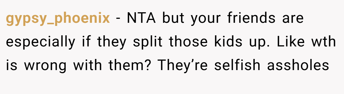 gypsy_phoenix - NTA but your friends are especially if they split those kids up. Like wth is wrong with them? They’re selfish assholes