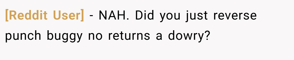 [Reddit User] - NAH. Did you just reverse punch buggy no returns a dowry?